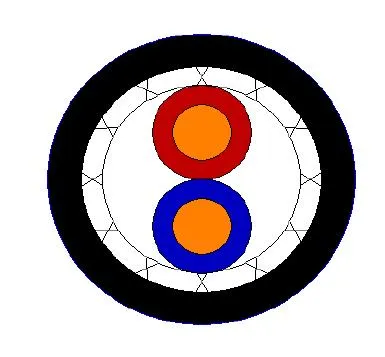 100 Ohm 24 AWG Twinaxial Cable